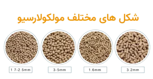 شکل های مختلف مولکولارسیو 4A